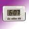 Electric Clock