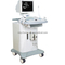 B/W Ultrasonic diagnostic system