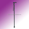 Walking Stick