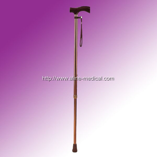 Walking Stick
