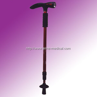 Walking Stick