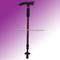 Walking Stick
