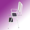 multi-purpose household ladder