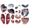 45CM Unisex Torso 23 Parts
