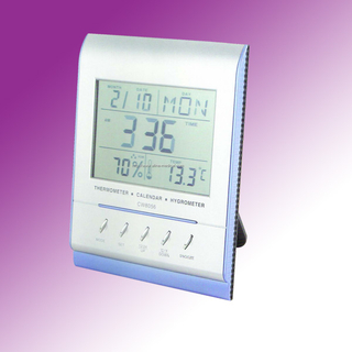 Digital Thermometer
