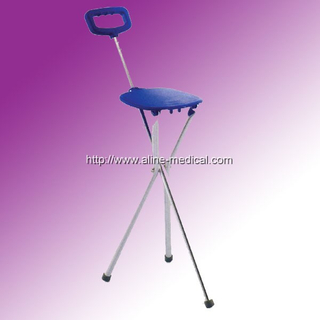 walking stick