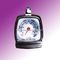 Insert Meat Thermometer