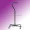 Walking Stick