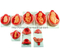 The Development Process for Fetus