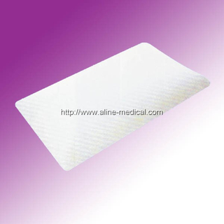 TRADITIONAL SHAPE MEMORY PILLOW