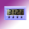 Digital Thermometer