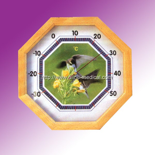Family Thermometer