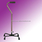 Walking Stick