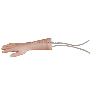 IV Training Hand