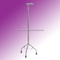 Walking Stick