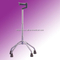 Walking Stick