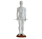 Acupuncture Model 60CM