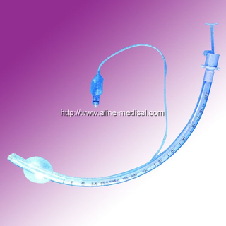 Stylet