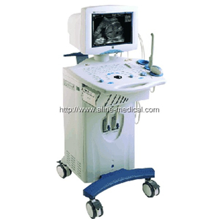 Digital Ultrasonic Diagnostic Imaging System
