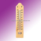 Indoor Thermometer&Hygrometer
