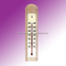 Family Thermometer