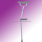 walking stick