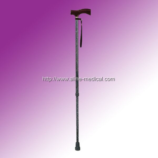 Walking Stick