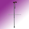 Walking Stick