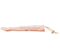 Injectable Training Arm Model (Without Set)