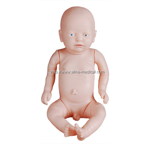 New Style Newborn Model(Body Model)