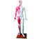 Deluxe Acupuncture Model 178CM