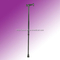 Walking Stick