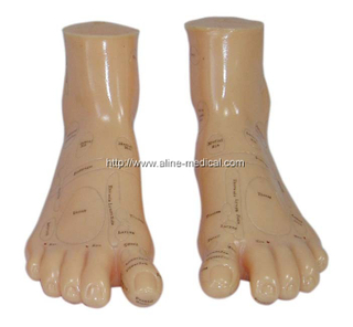 Massage Foot Model 17CM