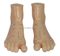 Massage Foot Model 17CM
