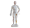 Acupuncture Model 26CM
