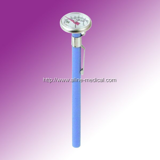 Digital Thermometer