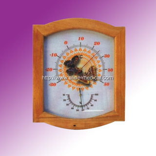 Family Thermometer
