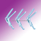 Vaginal Speculum Series