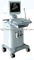 Digital Ultrasonic Diagnostic System