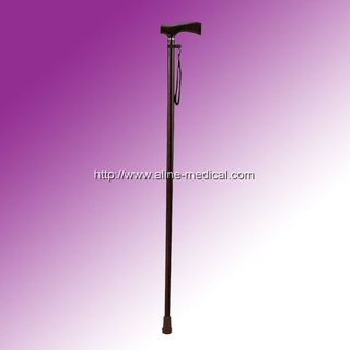 Walking Stick