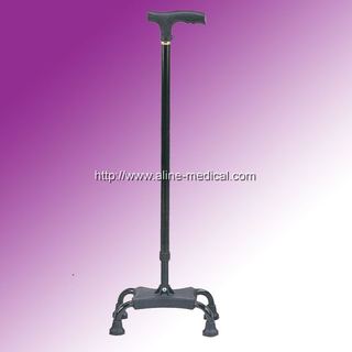 Walking Stick