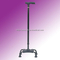 Walking Stick