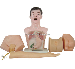 Nurse Basic Practice Teaching Model