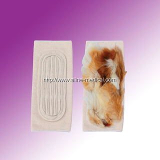 Knee guard