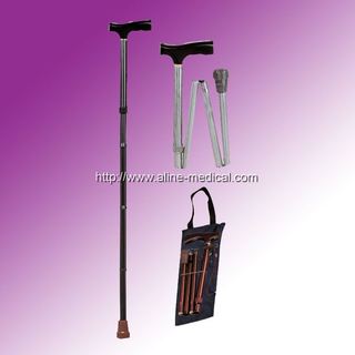 Walking Stick