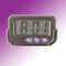 Electric Clock