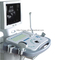 B/W Ultrasonic diagnostic system