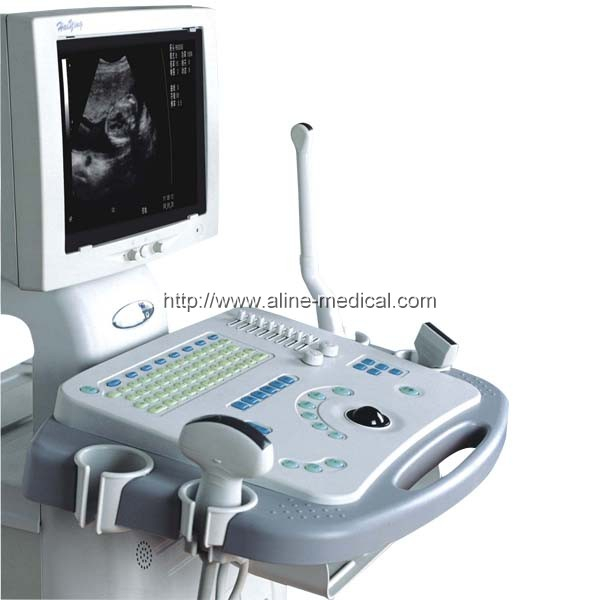 B/W Ultrasonic diagnostic system