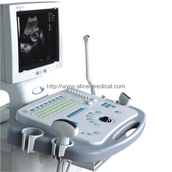 B/W Ultrasonic diagnostic system