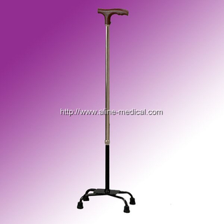 Walking Stick